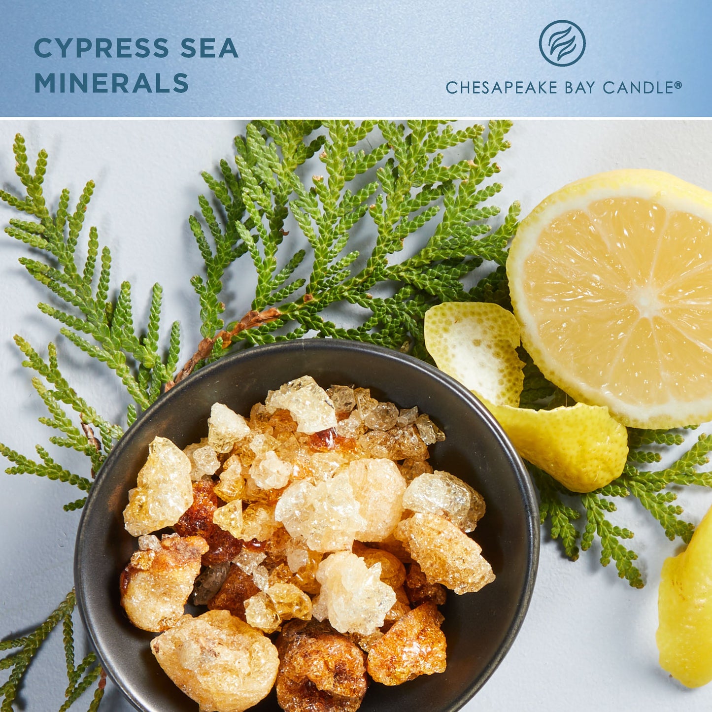 chesapeake bay candle cypress sea minerals fragrance in 2D